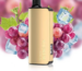 Alibarbar INGOT 9000 Grape Ice - LocalCigSupplies Australia
