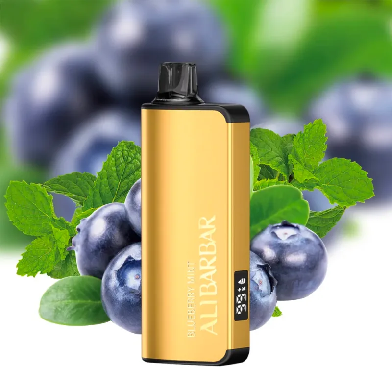Alibarbar INGOT 9000 Blueberry Mint - LocalCigSupplies Australia